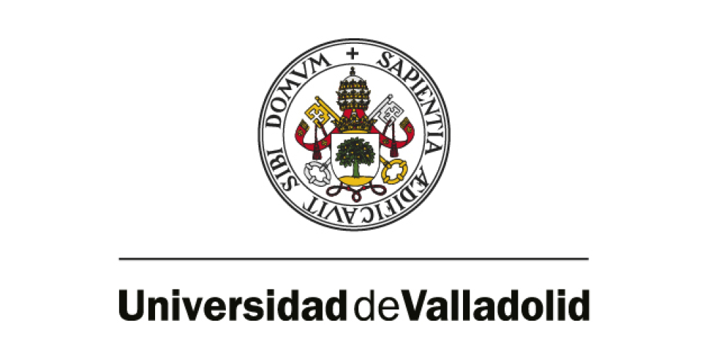Valladolid Universitetində təhsil imkanı