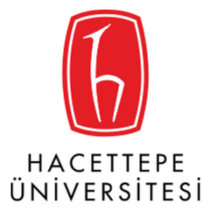 Hacettepe Universiteti